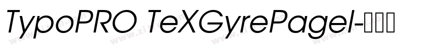 TypoPRO TeXGyrePagel字体转换
